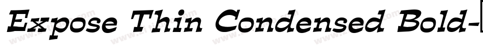 Expose Thin Condensed Bold字体转换